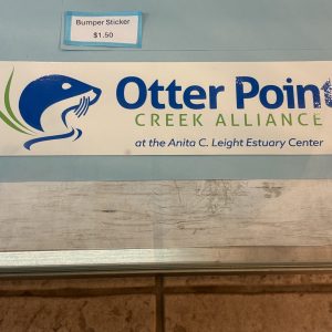 Bumper Sticker